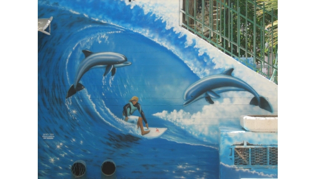 ציורי קיר עולם המים